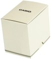 pud casio.jpg