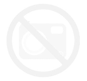 ZEGAREK ORIENT RN-BB0003Y